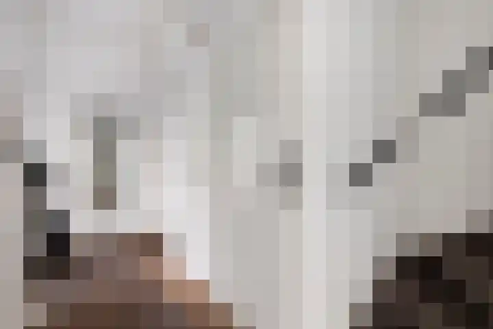 Reinenweer 10 Sliedrecht thumbnail 18