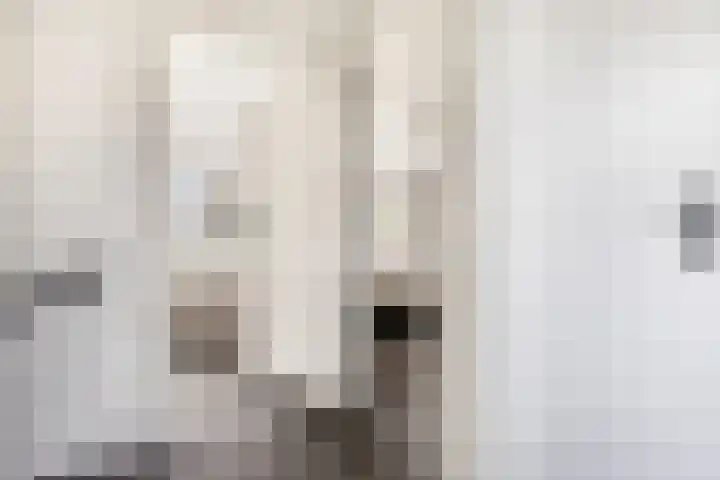 Reinenweer 10 Sliedrecht thumbnail 19