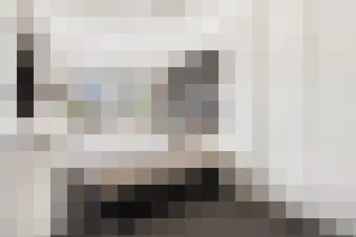 Reinenweer 10 Sliedrecht thumbnail 20