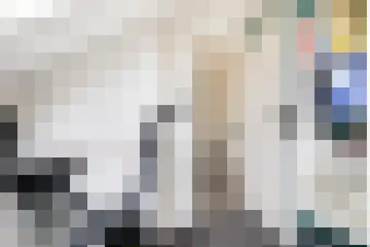 Reinenweer 10 Sliedrecht thumbnail 26