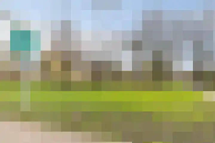 Reinenweer 10 Sliedrecht thumbnail 36