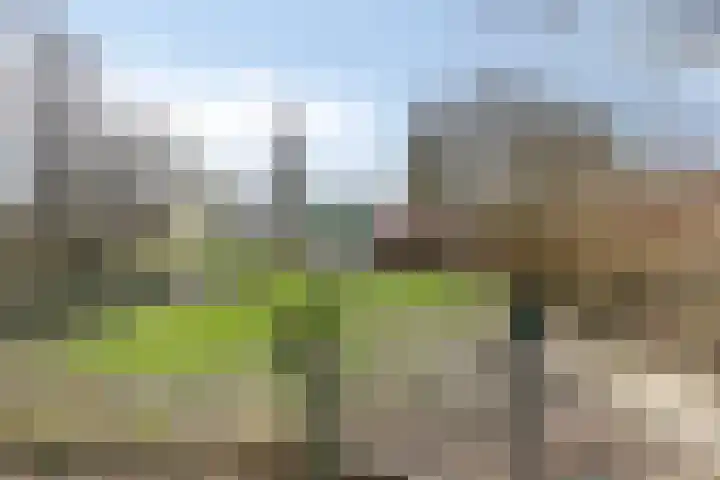 Reinenweer 10 Sliedrecht thumbnail 37