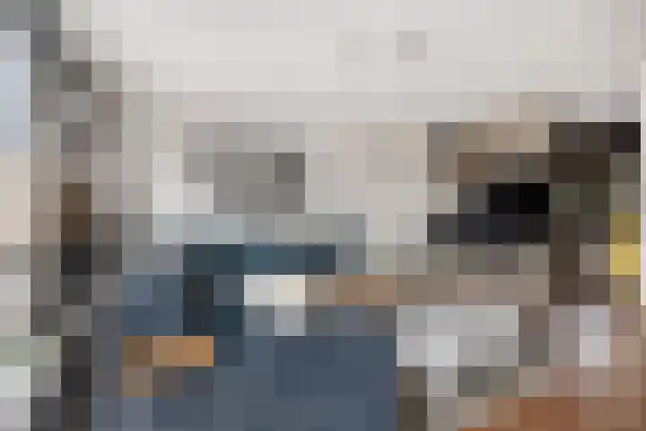 Reinenweer 10 Sliedrecht thumbnail 9