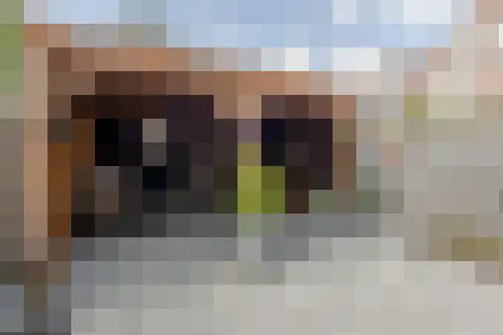 Reinenweer 39 Sliedrecht thumbnail 14
