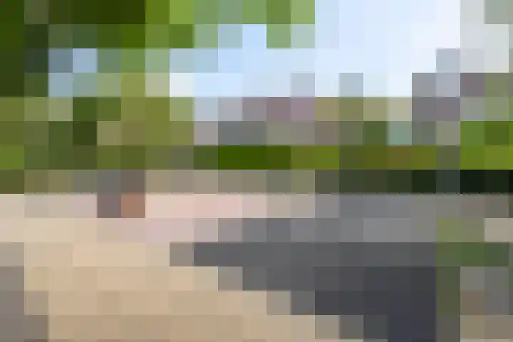 Reinenweer 39 Sliedrecht thumbnail 18