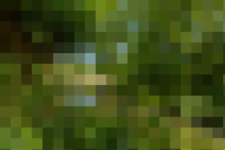 Reinenweer 39 Sliedrecht thumbnail 19