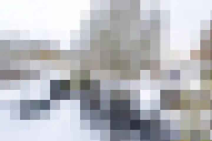 Reinenweer 9 Sliedrecht thumbnail 10