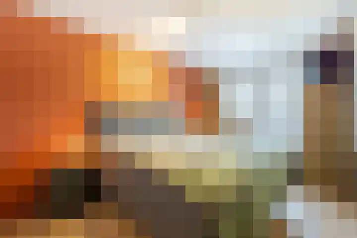 Reinenweer 9 Sliedrecht thumbnail 18