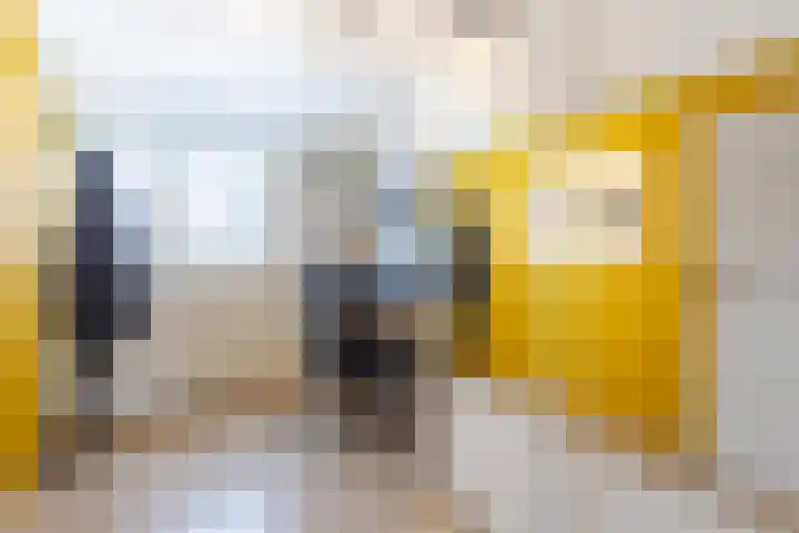 Reinenweer 9 Sliedrecht thumbnail 20