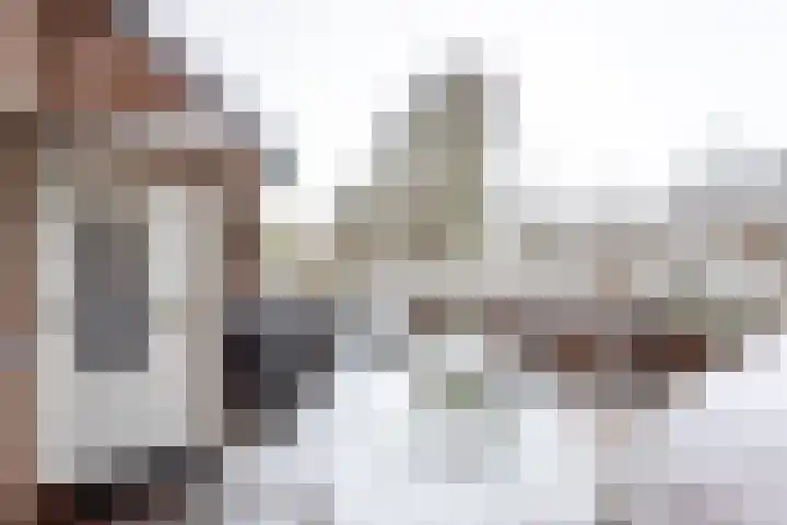 Reinenweer 9 Sliedrecht thumbnail 26