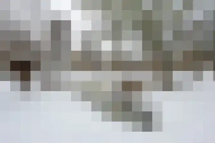 Reinenweer 9 Sliedrecht thumbnail 30