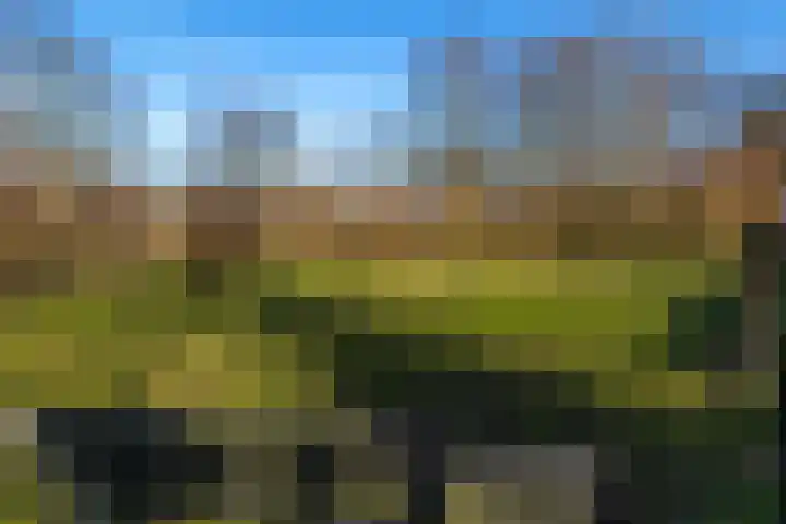 Reinenweer 9 Sliedrecht thumbnail 31