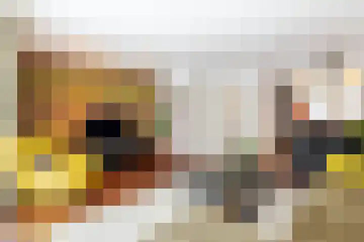Reinenweer 9 Sliedrecht thumbnail 6