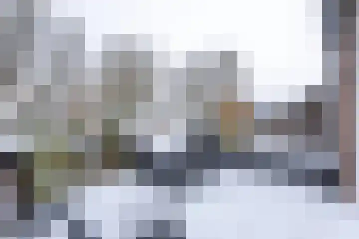 Reinenweer 9 Sliedrecht thumbnail 9