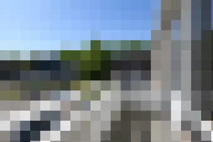 Reiner van Ooiplein 21 Ooij thumbnail 20