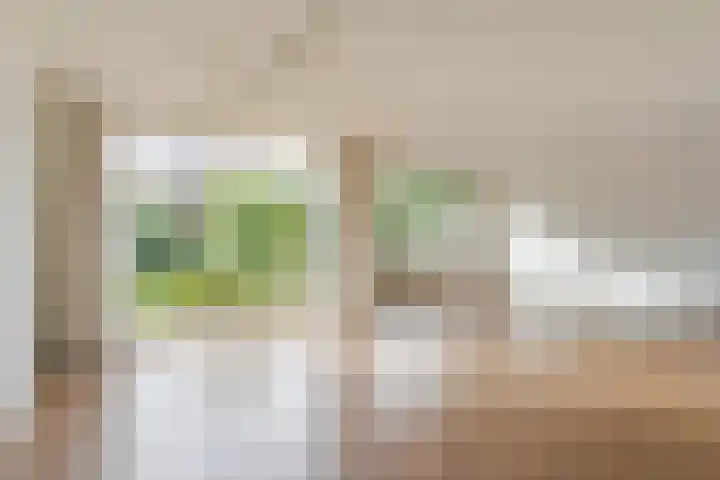 Reinette 22 Boskoop thumbnail 10