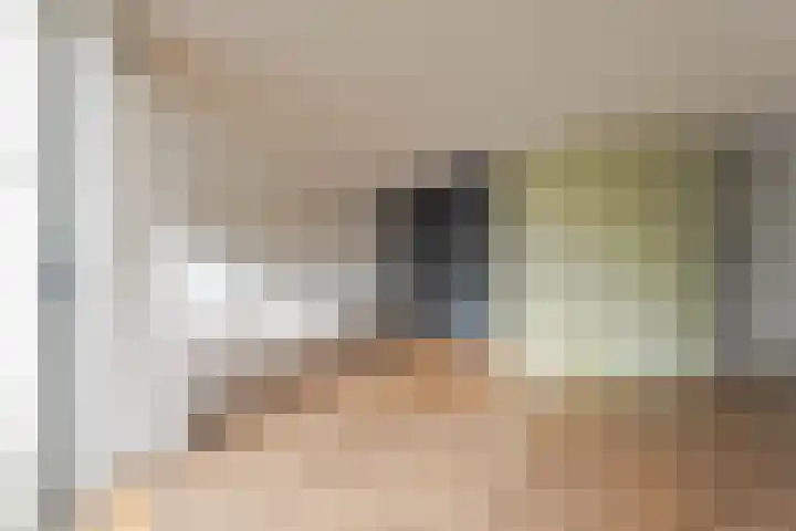 Reinette 22 Boskoop thumbnail 11