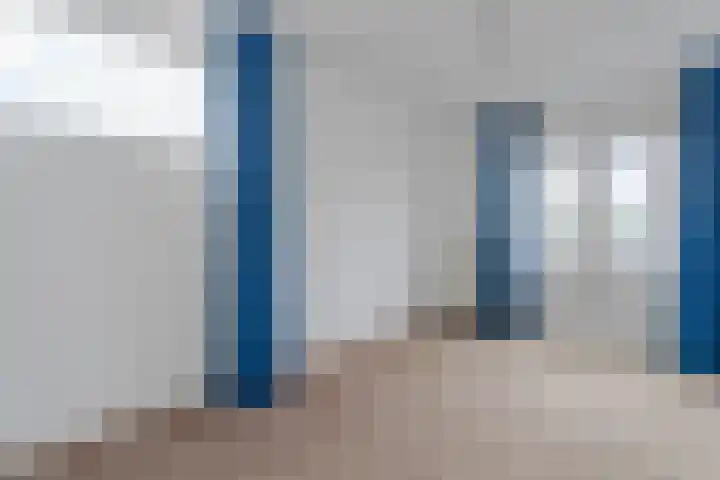 Reinette 22 Boskoop thumbnail 12