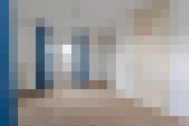 Reinette 22 Boskoop thumbnail 13