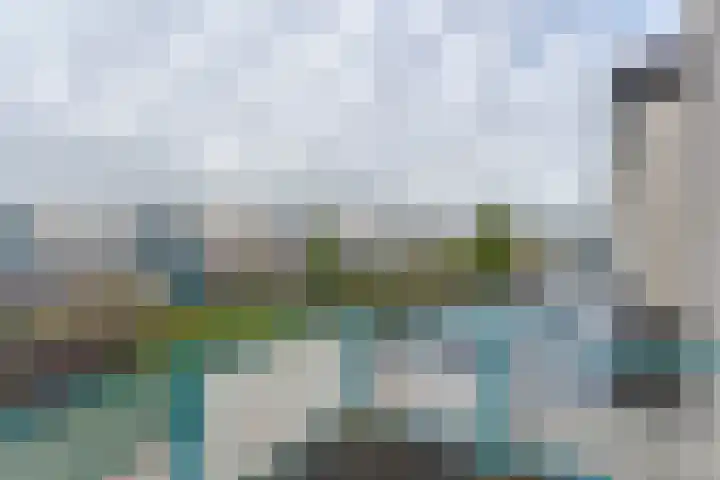 Reinette 22 Boskoop thumbnail 15