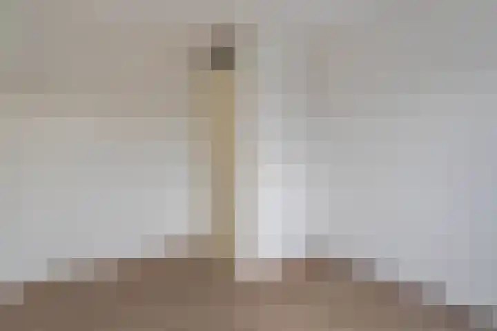 Reinette 22 Boskoop thumbnail 17