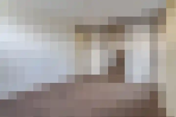 Reinette 22 Boskoop thumbnail 19