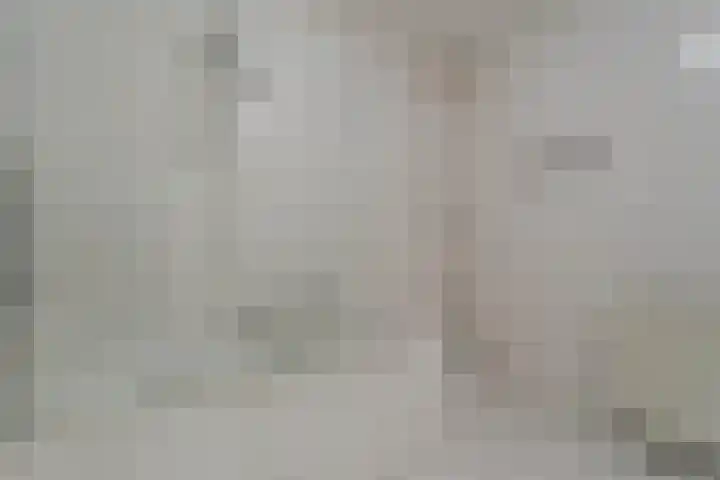 Reinette 22 Boskoop thumbnail 22