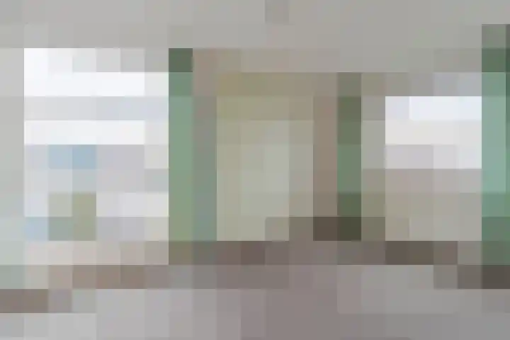Reinette 22 Boskoop thumbnail 24