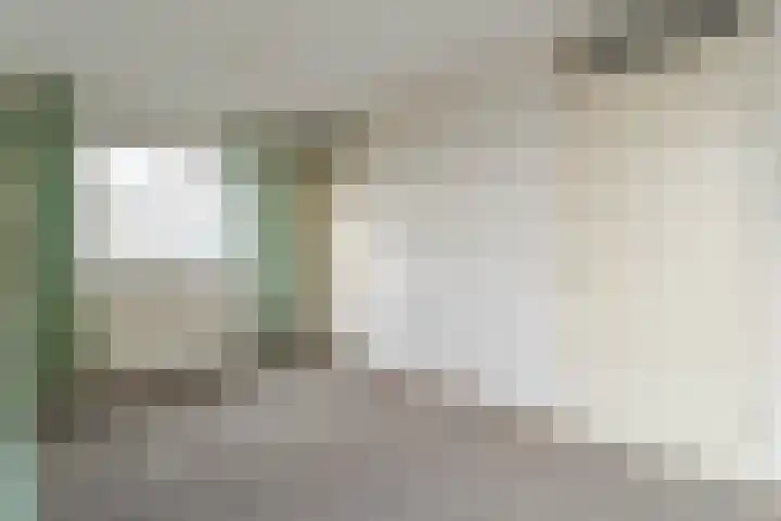 Reinette 22 Boskoop thumbnail 25