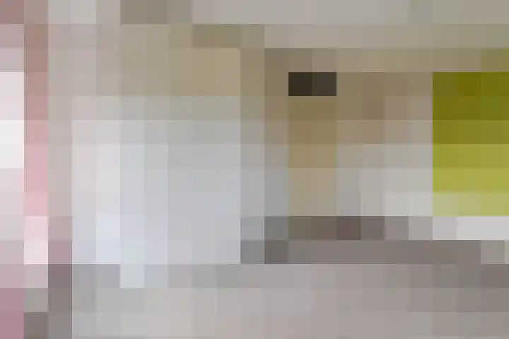 Reinette 22 Boskoop thumbnail 28