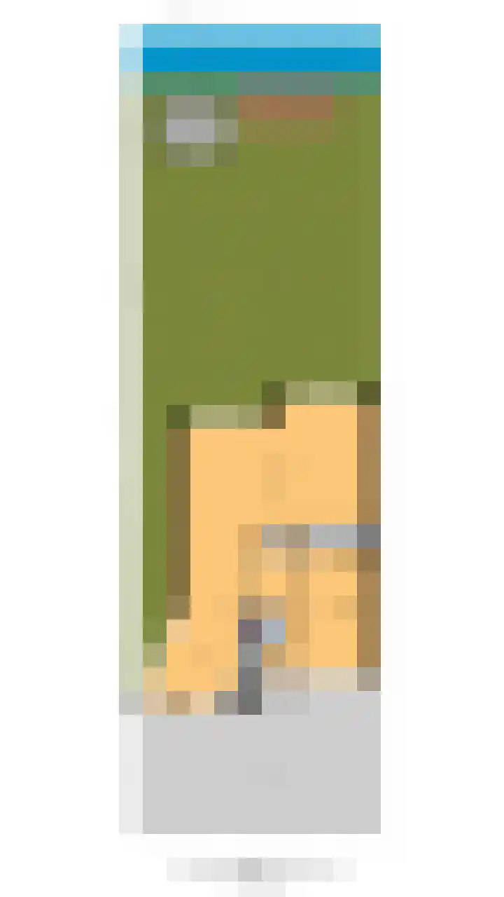 Reinette 22 Boskoop thumbnail 33