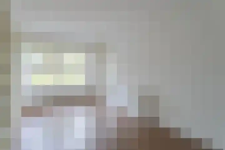 Reinette 22 Boskoop thumbnail 4