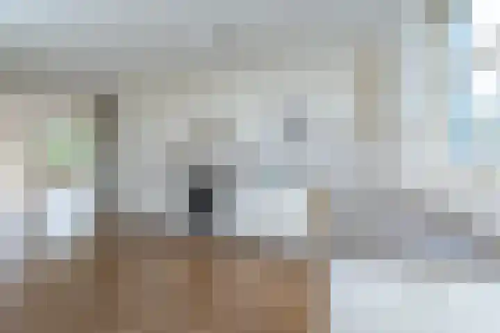 Reinette 22 Boskoop thumbnail 7