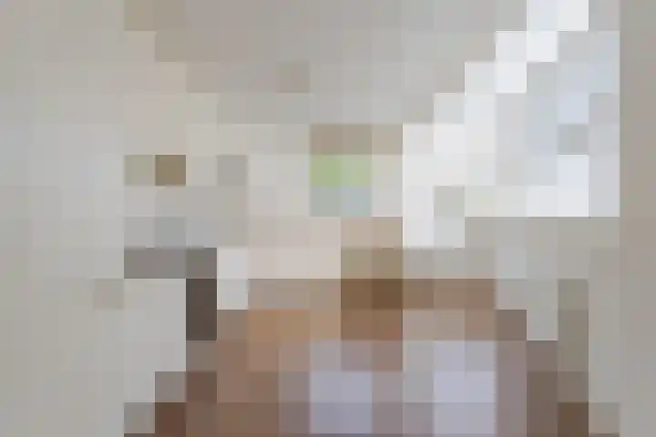 Reinette 22 Boskoop thumbnail 8