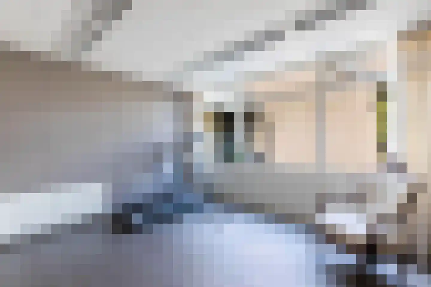 Reinier Cammingalaan 2 Bolsward thumbnail 20