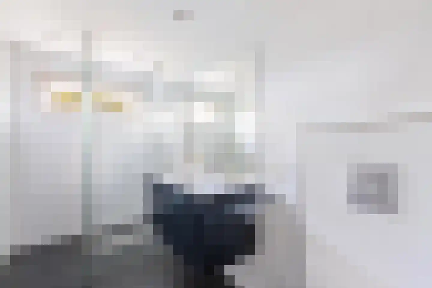Reinier Cammingalaan 2 Bolsward thumbnail 25