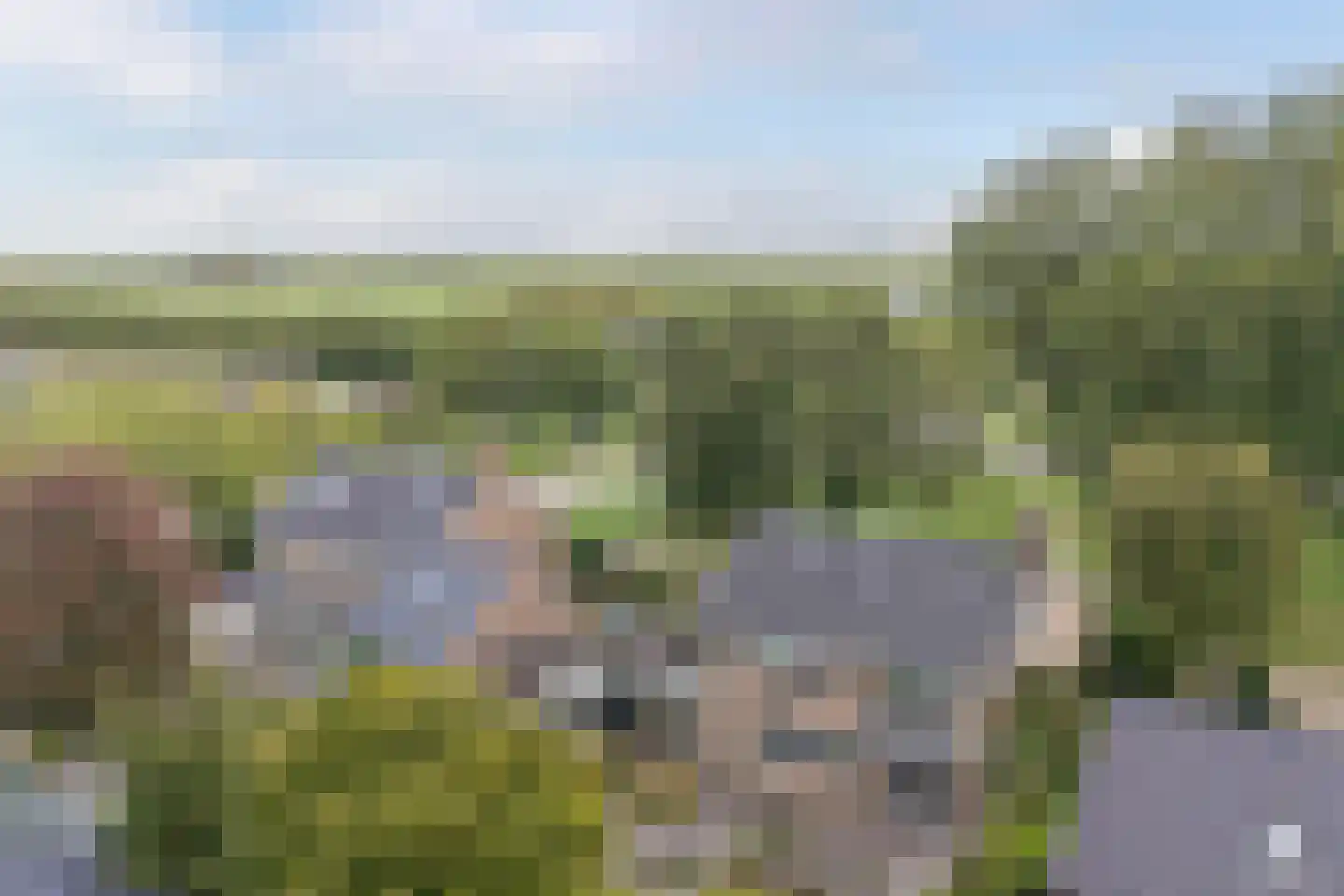 Reinier Cammingalaan 2 Bolsward thumbnail 37