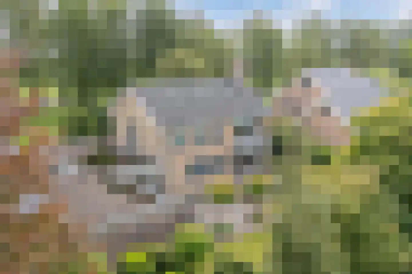 Reinier Cammingalaan 2 Bolsward thumbnail 38