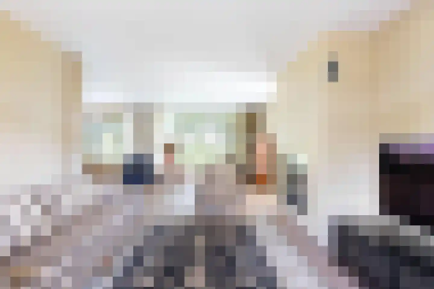 Reinier Cammingalaan 2 Bolsward thumbnail 5