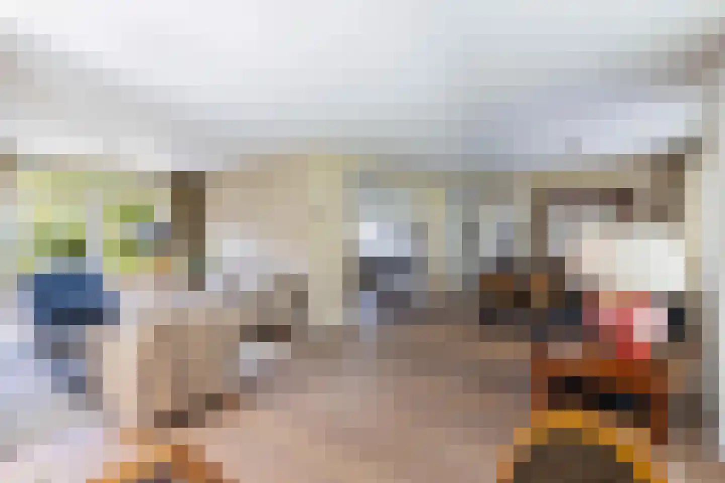 Reinier Cammingalaan 2 Bolsward thumbnail 6