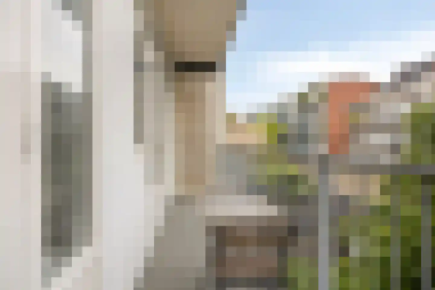 Reinier Claeszenplein 8 2 Amsterdam thumbnail 11