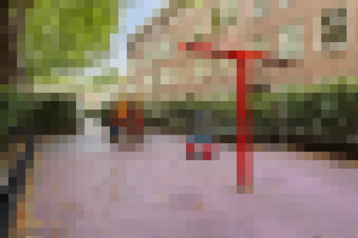 Reinier Claeszenplein 8 2 Amsterdam thumbnail 22