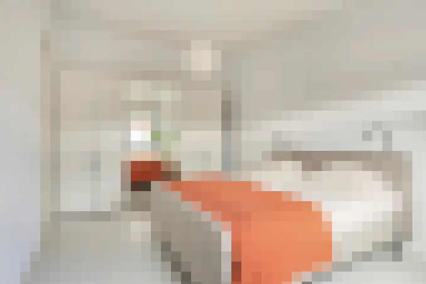 Reinier Claeszenstraat 12 Tilburg thumbnail 21