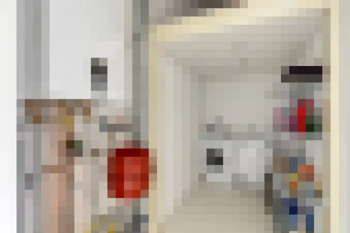 Reinier Claeszenstraat 12 Tilburg thumbnail 28