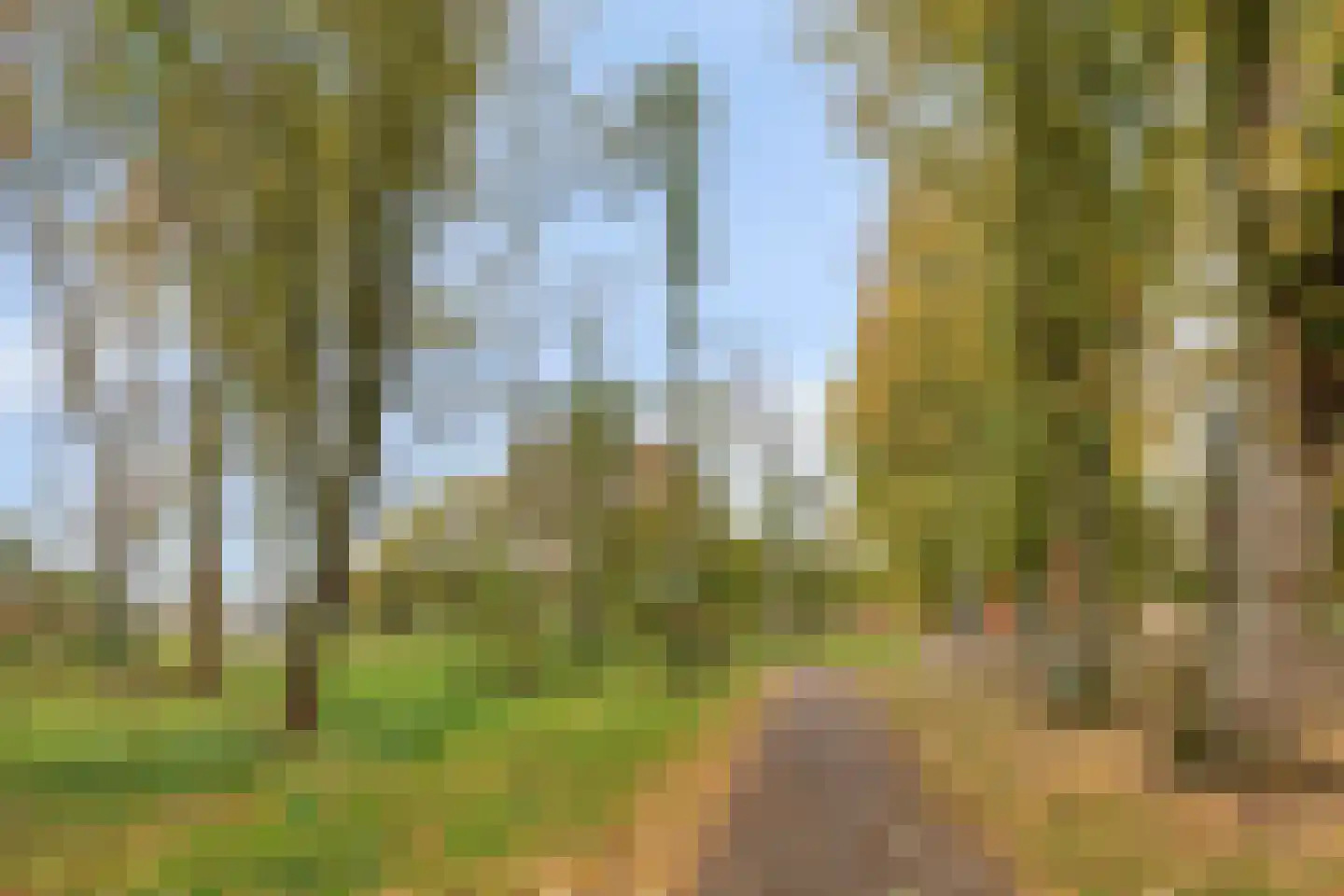 Reinier Claeszenstraat 12 Tilburg thumbnail 42