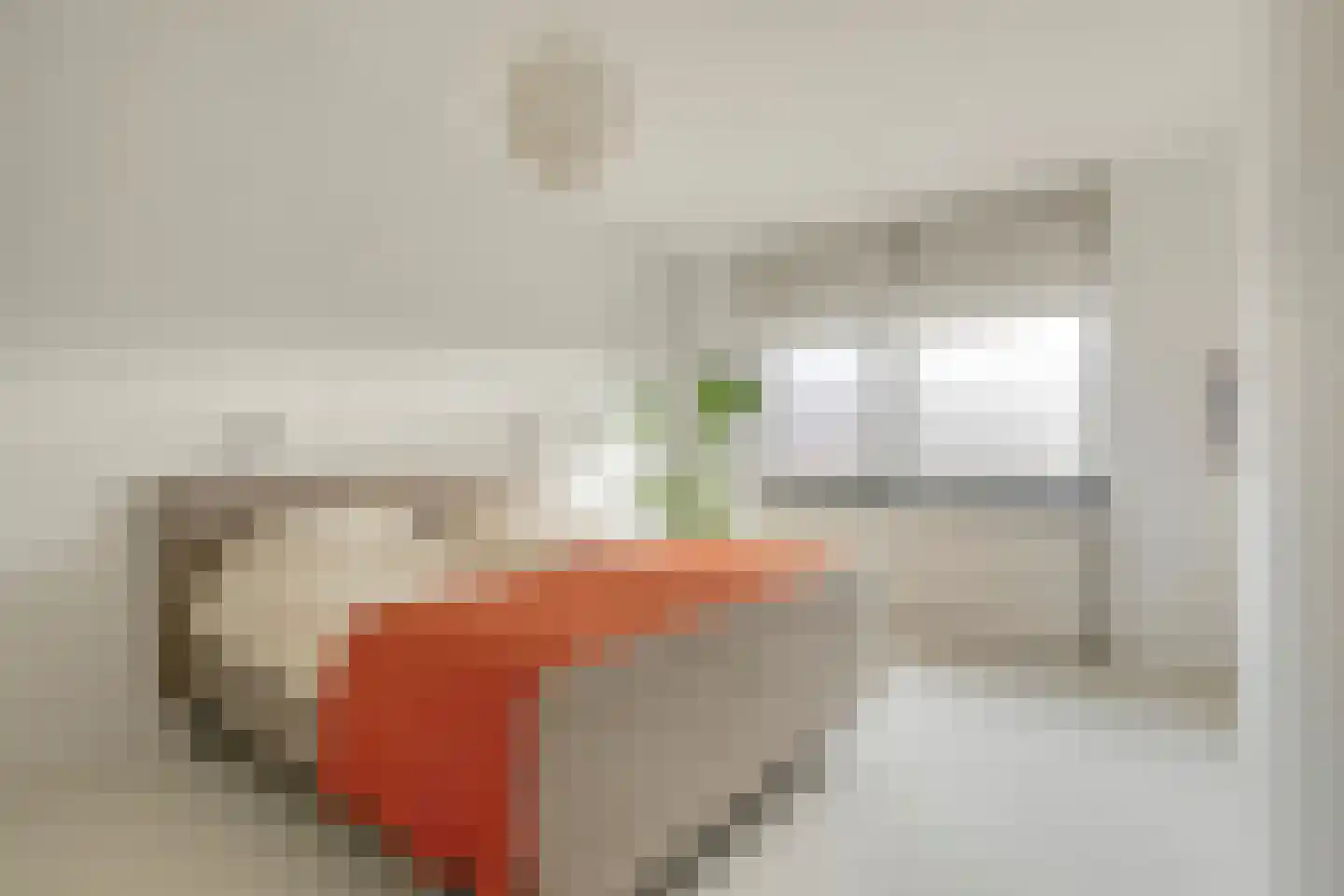 Reinier Claeszenstraat 12 Tilburg thumbnail 5
