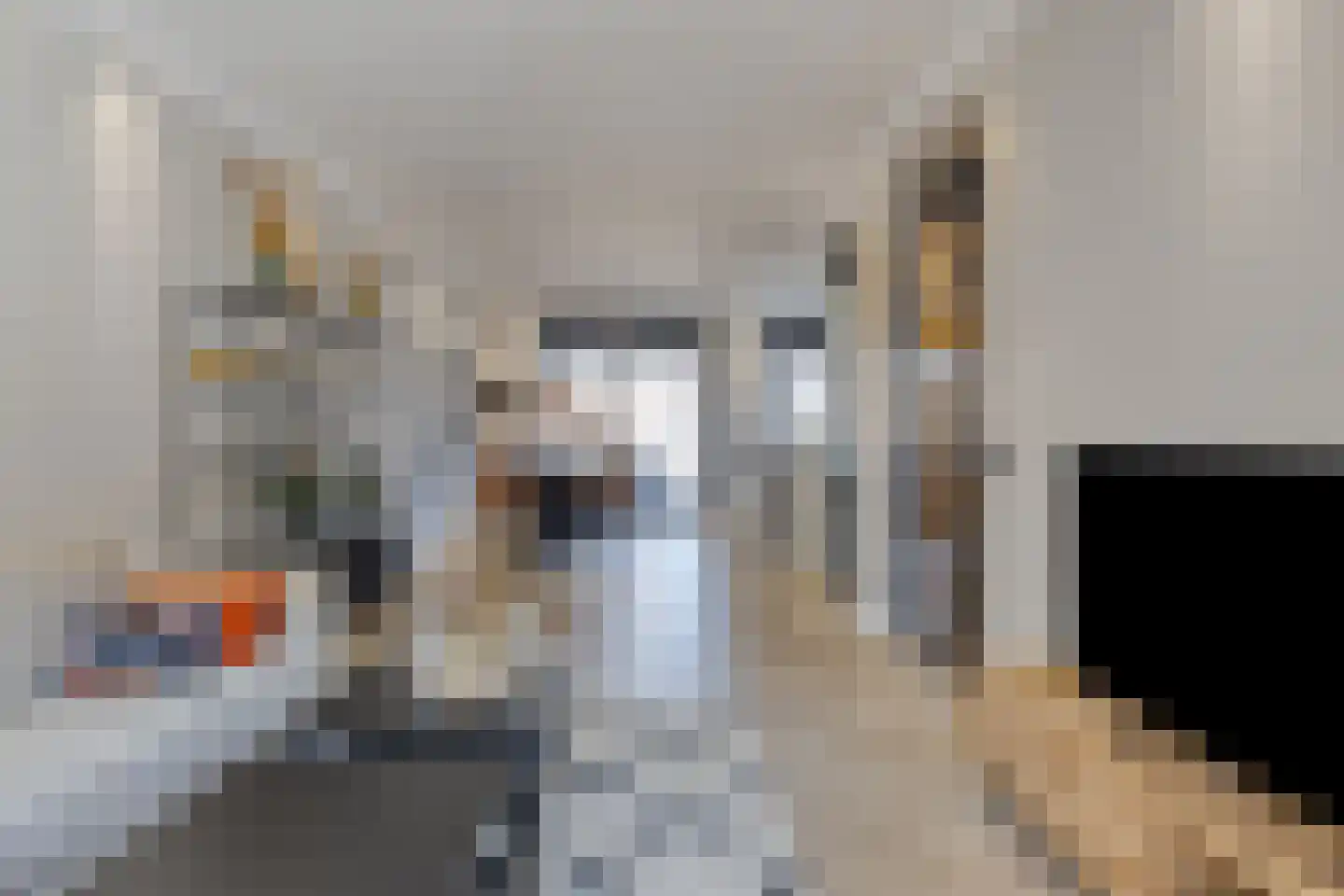 Reinier Claeszenstraat 22 Tilburg thumbnail 4