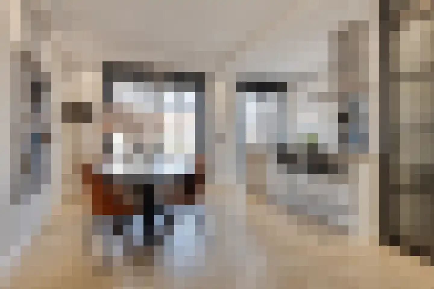 Reinier Claeszenstraat 22 Tilburg thumbnail 5