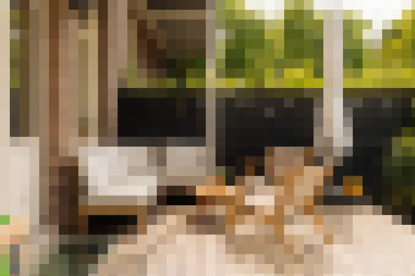 Reinier Claeszenstraat 25 1 Amsterdam thumbnail 17