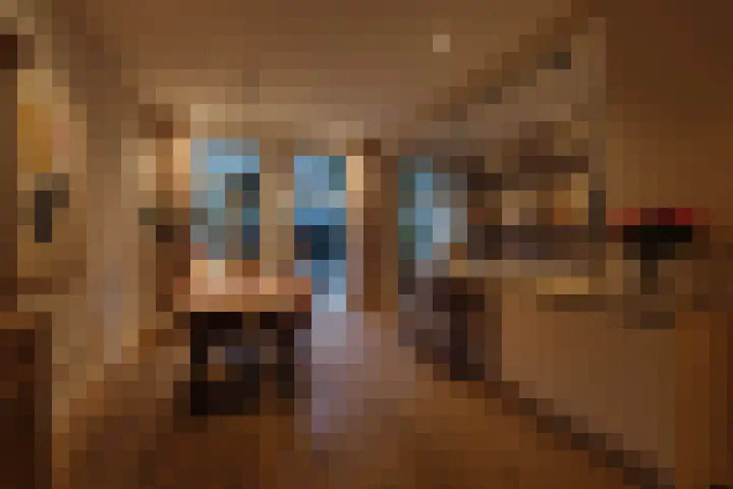 Reinier Claeszenstraat 25 H Amsterdam thumbnail 31